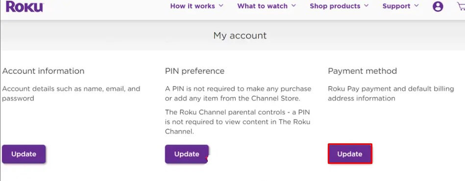 Click the Update Payment