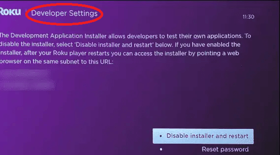 Developer Mode