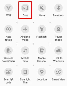 Select Cast to Screen Mirror Dofu Sports on Roku