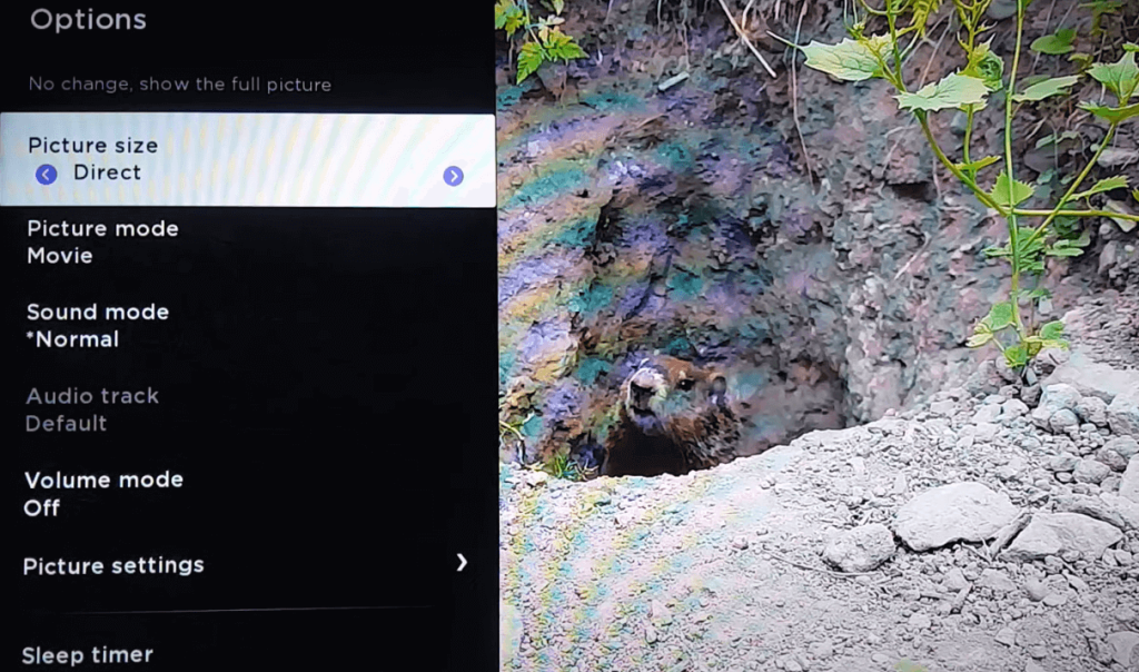 Select Picture Size