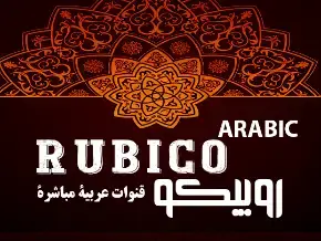 Arabic channels on Roku-Arabic Live Channel