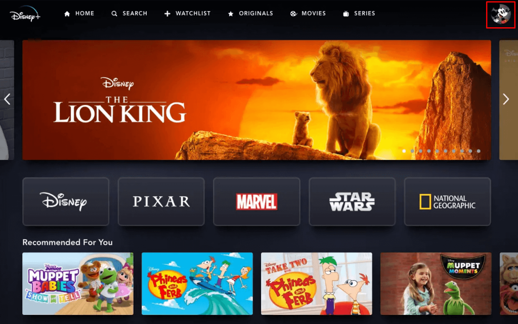 How to Log Out of Disney Plus on Roku-Using Website