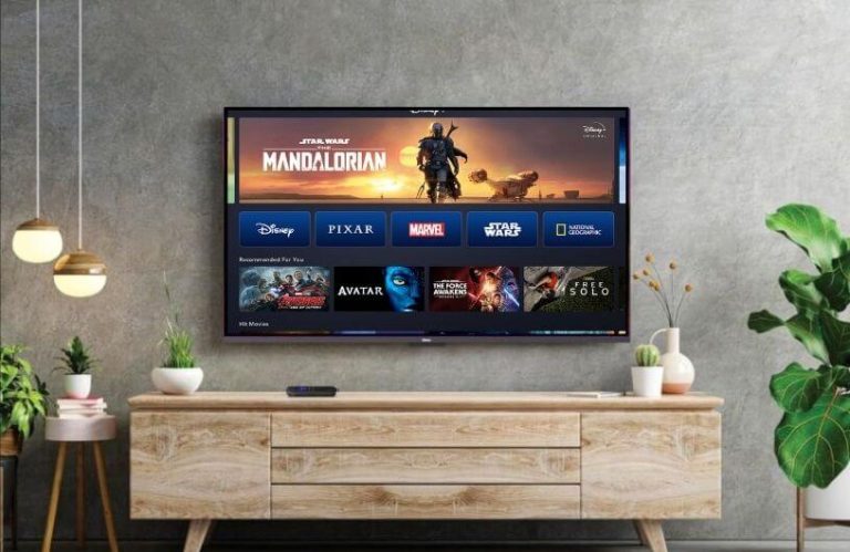 How to Activate and Watch Disney Plus on Roku Disney Plus on Roku