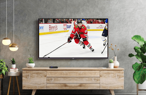 How to Stream NHL Live Matches on Roku