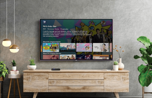 How to Get TFC Channel on Roku