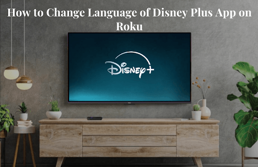 How to Change Disney Plus App Language on Roku How to Change Language on Disney Plus Roku